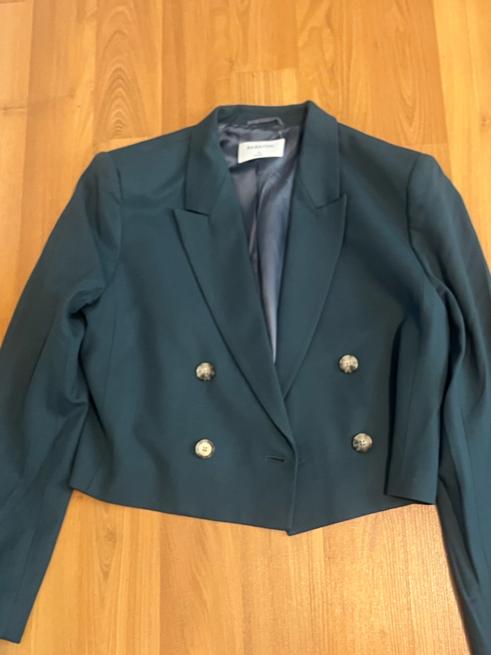 Aritzia x Babaton "Lalonde" Blazer - Picture 5 of 5